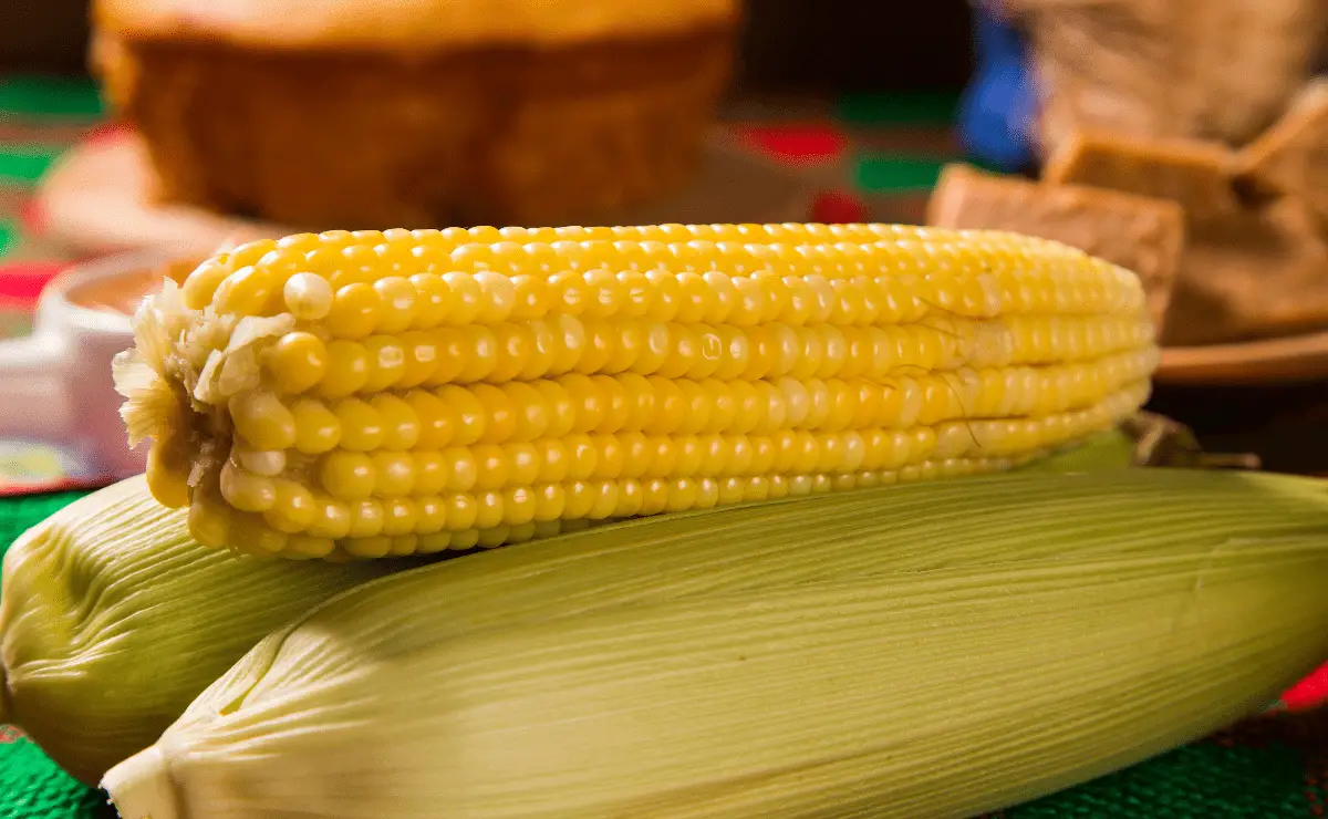 20 Receitas Salgadas Para Festa Junina Que Não Podem Faltar No Seu Arraiá Receita Pratica